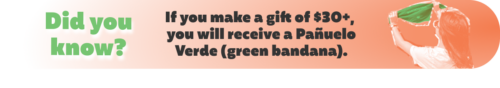 Did you know? If you make a gift of $30+ you will receive a pañuelo verde (green bandana)